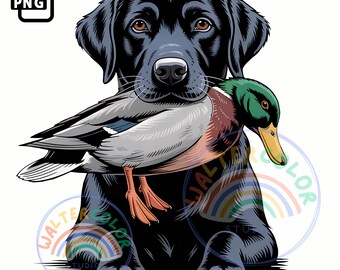 Pato Labrador Negro Cazando PNG: Retriever Clipart (Descarga digital, 4009x4096 px)