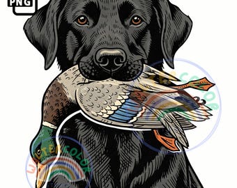 Pato Labrador Negro Cazando PNG: Clipart de Retriever (Descarga digital, 4009x4096px)