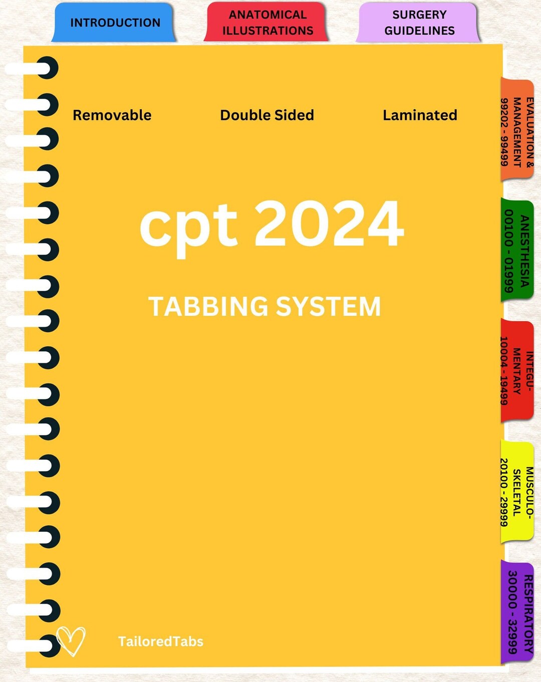 2024 AMA CPT Medical Coding Tabbing System - Etsy