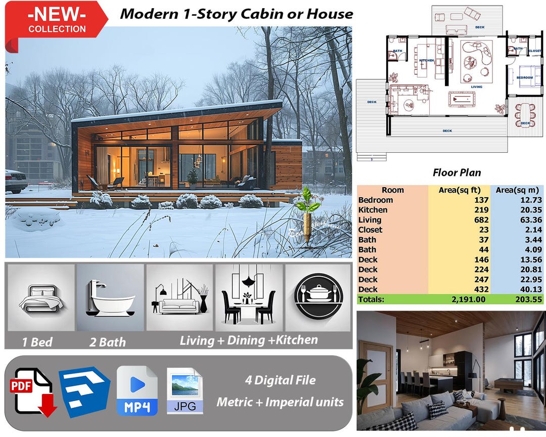 Modern 1-story House Plan: 1 Bed, 2 Bath (PDF, SKP, MP4, JPG No.176) - Etsy