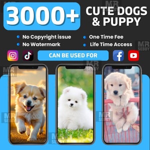 3000 Cute Dogs Puppy Reels Videos Bundle For Instagram, Youtube, Facebook,