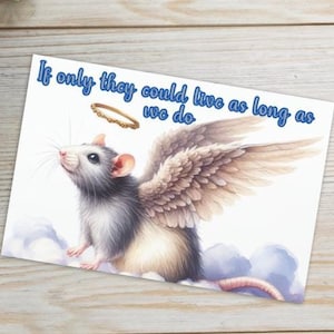 Carte de sympathie pour la perte de votre petit ami rat / souris. Peu importe combien de temps nous les avons, ce n'est jamais assez long