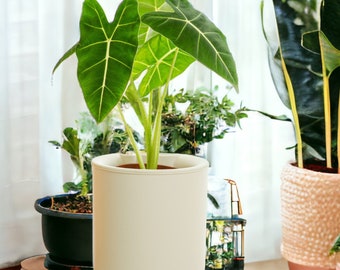 Self-Watering Indoor Pot Planter, Self Watering Indoor Pot with Stand, 8 Inch Indoor Planter for Snake Plant, Monstera, Peace Lily and more