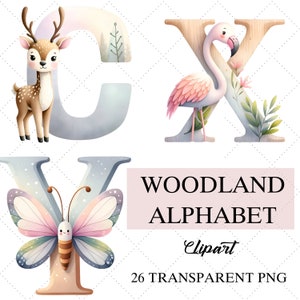Alfabeto de animales del bosque, imágenes prediseñadas, animales con letras, uso comercial, animales de la A a la Z, letras dibujadas, animales del bosque, alfabeto PNG