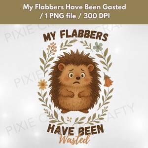 My Flabbers Have Been Gasted png, Snarky Igel Clipart, Grumpy Hedgehog PNG, Igel PNG, Gag Geschenk für Erwachsene, Erwachsenen Humor Clipart PNG