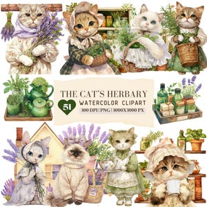 Aquarelle le chat herbier Clipart, chat guérisseur, plantes printanières, médecine naturelle maison, floral lavande apothicaire, herbe PNG, parent de maman chat