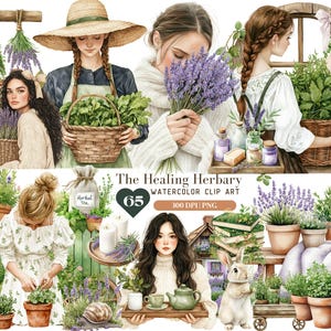 Aquarelle herboristerie clipart, printemps, plantes médicinales printanières, médecine naturelle maison, floral lavande apothicaire, herbe PNG, téléchargement numérique