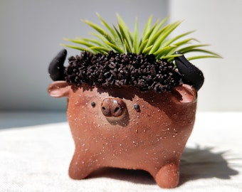 Little cow planter. Handmade pot with drainage hole. Cactus and succulent planter, Cute planter, clay animal planter.