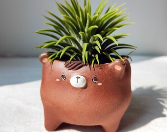 Little Brown Bear planter. Handmade pot with drainage hole. Cactus and succulent planter, Cute planter, clay animal planter.