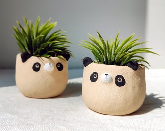 2.25 inch, panda planter. Handmade pot with drainage hole. Cactus and succulent planter, Cute clay planter.