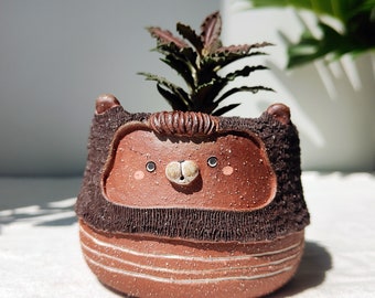 Brown bear with black fur planter. Handmade pot with drainage hole. Cactus and succulent planter, Cute planter, clay animal planter.