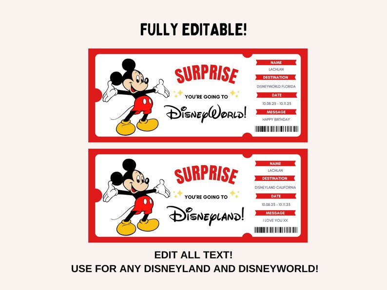 Disneyland Ticket, Disneyworld Ticket, Editable Ticket, Surprise Reveal