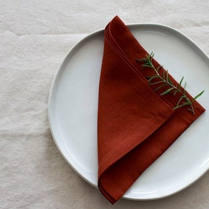 200 Pack Rust Cloth Napkin Cotton Napkins Set Of Napkins Wedding Bulk Cotton Napkins Dinner Napkins Original Gift Table Cotton Large napkin image 1