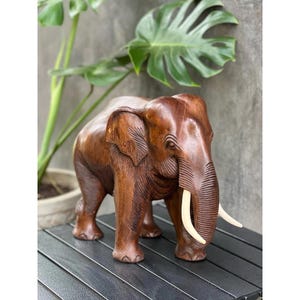 May include: A detailed wooden elephant sculpture with ivory tusks. The elephant is carved from dark brown wood and stands on a black surface. The sculpture has intricate details, including carved wrinkles and folds in the skin. A large green plant is in the background.