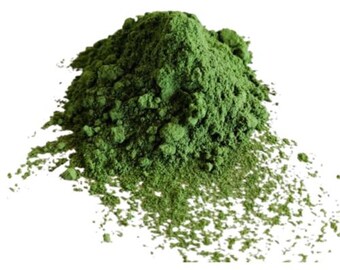 500 G, Wolffia Globosa Powder High-Protein Superfood , Thai Super Food, Plant Based Protein Wolffia Powder, wasserlinsen pulver