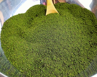 500 g Dried Wolffia Retains a Texture Similar to Fresh Wolffia. When eaten, It still has a slightly crunchy, popping sensation.