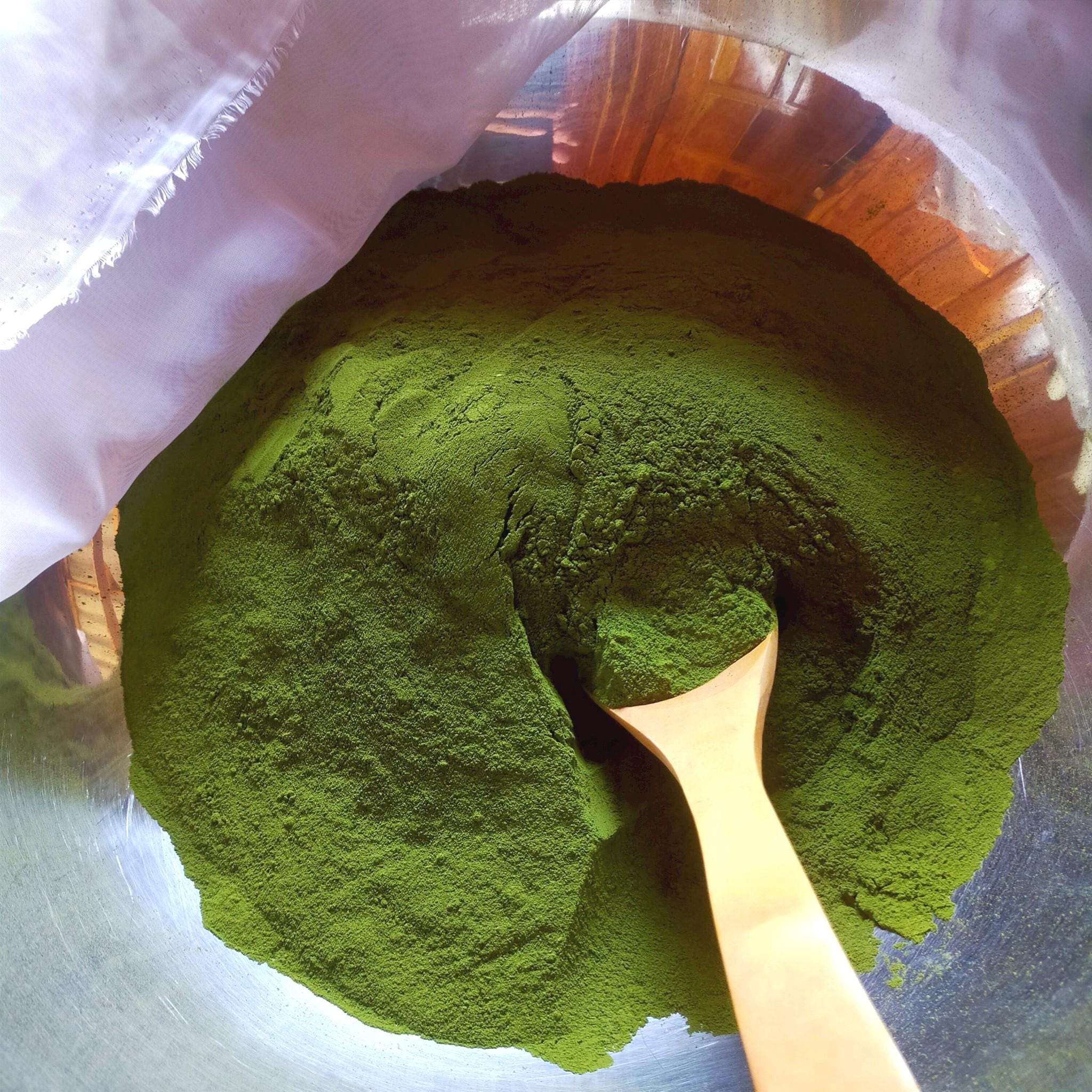 1000 G Wolffia Globosa Powder High-Protein Superfood , Thai Super Food, Plant Based Protein Wolffia Powder, wasserlinsen pulver