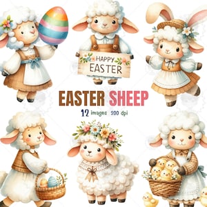 Clipart di pecore pasquali, clipart di acquerelli, clipart di pecore carine, png di buona Pasqua, clipart di animali pasquali, agnello primaverile, regali per Pasqua