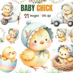 May include: A set of 21 digital illustrations of baby chicks in various poses. The chicks are wearing blue and white bonnets and are depicted in a watercolor style. The illustrations are perfect for creating cards, invitations, and other crafts.