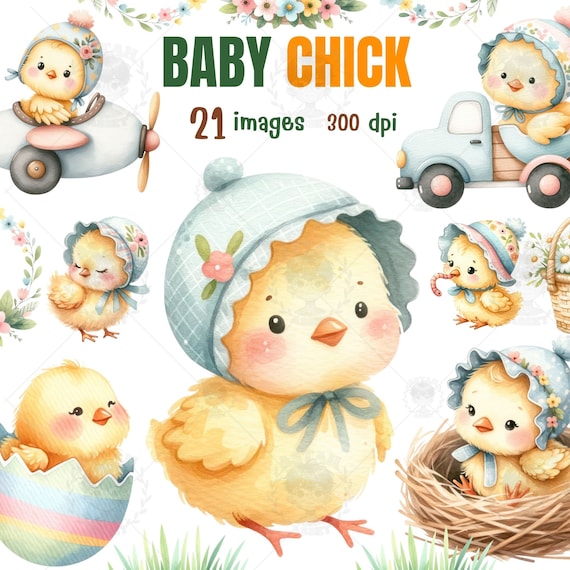 Watercolor Baby Chick Clipart: Easter, Spring, Nursery (PNG, PDF)