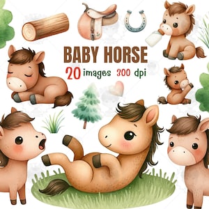 Baby horse watercolor clipart, baby horse, baby animals, mom and baby horse, watercolor horse, baby room decor, Nursery clipart, Horse PNG