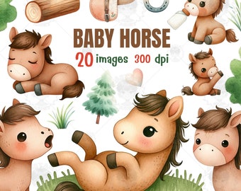 Baby horse watercolor clipart, baby horse, baby animals, mom and baby horse, watercolor horse, baby room decor, Nursery clipart, Horse PNG