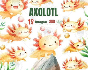 Yellow Axolotl Watercolor Clipart: Baby Axolotl PNG (Digital Download)