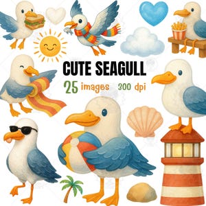 seagull clipart, beach clipart, summer clipart, seagull png, coastal clipart,sea animals,beach bird,ocean clipart,cute birds,seaside clipart