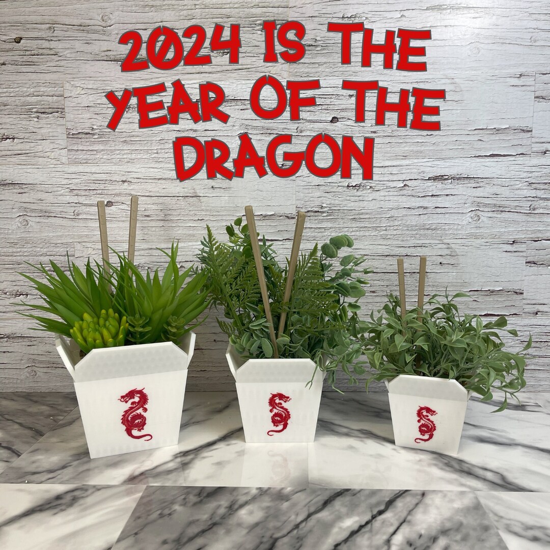 Chinese Takeout Box Planter With FREE CHOPSTICKS Etsy