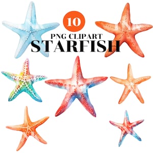 Watercolor STARFISH clipart Bundle,Ocean Clipart, Sea clipart, clipart for Commercial Use,Digital Downloads,High Quality PNGs,Scrapbook