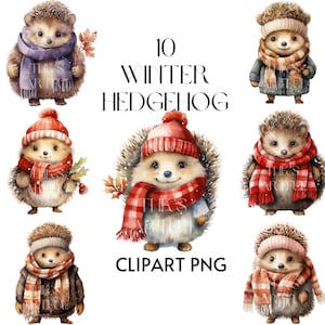 Watercolor 10 Christmas Hedgehog clipart Bundle,Hedgehog clipart for Commercial Use,Digital Downloads ,Paper Craft,High Quality PNGs