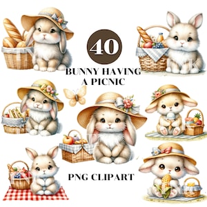 Cute Bunny Having a Picnic Clipart Bundle, Summer Cottagecore Clipart, Kawaii Animal Clipart, Summer Animal,Commercial Use, Transparent PNG