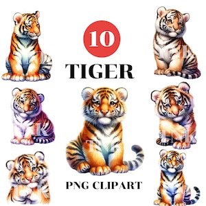 Watercolor Cute Tiger  clipart Bundle,PNG, clipart for Commercial Use,Digital Downloads,High Quality PNGs,xmas decor,xmas shirt
