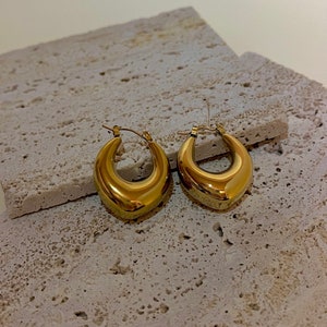 Louise earrings | trendy earrings | gold stainless steel jewelry | drop earrings | clean girl jewelry