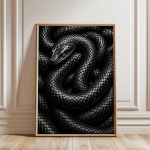 Op de afbeelding: Een rechthoekig ingelijst kunstwerk aan de muur met een contrastrijke zwart-witillustratie van een opgerolde slang. De schubben van de slang zijn zeer gedetailleerd en tonen een complex, overlappend patroon dat het hele kader vult.