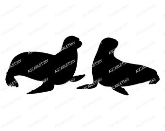 Seal Silhouette, Sea Lion Clipart (svg, png, pdf, eps, dxf) Digital Download