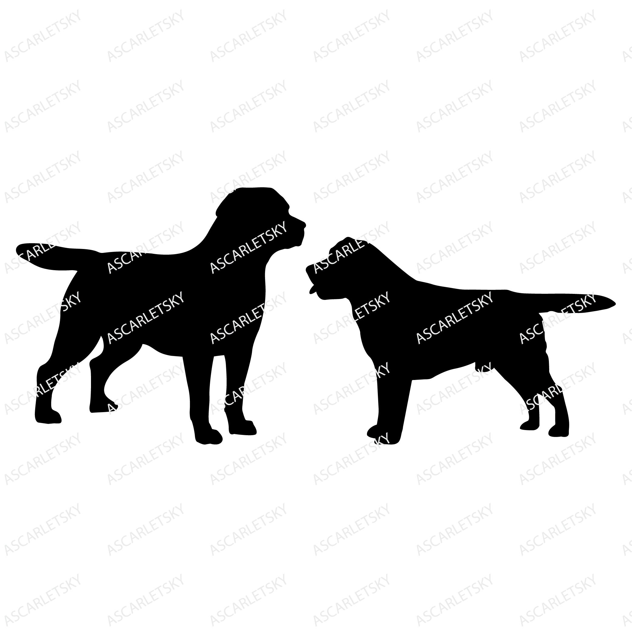 Labrador Retriever (svg, Png, Pdf, Eps, Dxf) Digital File Download - Etsy