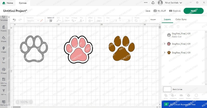 Op de afbeelding: Drie poot afdruk ontwerpen in een digitaal ontwerp programma. De poot afdrukken zijn grijs, roze en bruin. De ontwerpen zijn op een witte raster achtergrond.