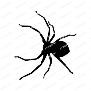 May include: A black silhouette of a spider with eight legs and a rounded body. The spider's legs are long and thin, with the tips of some legs curved. The image is set against a white background, with the text "ASCARLETSKY" repeated.