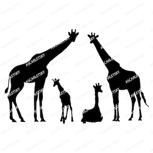 Giraffe svg, Giraffa svg, Giraffe clip art, png, pdf, eps, dxf, Cricut, Digital file download