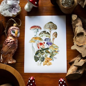 Impresión de arte de setas, ilustración botánica, cartel de setas, vivero de bosques, arte de la pared de setas, setas de acuarela, impresión linda de otoño