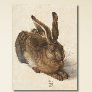 Albrecht Durer Print Art, Albrecht Durer Young Hare Art Canvas Print, Rabbit Print,Animal Wall Art, Reproduction Canvas Print, Ready to Hang