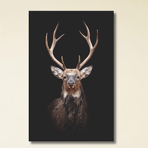 Deer Photography,Deer Canvas Poster,Animal Canvas Art,Animal Photo Art Canvas,Trendy Wall Art,Farmhouse Art, Deer Canvas Print,Ready To Hang