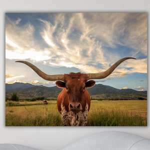 Highland Cow Canvas Wall Art,Cow Canvas Print Art, Farmhouse Decor Rustic Wall Decor,Animals Painting,Scottish Cow Wall Art,Cow,Ready ToHang