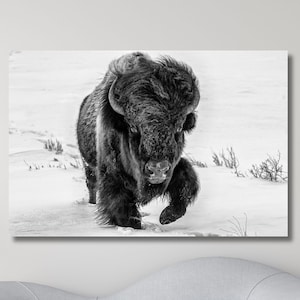Buffalo in The Snow Canvas Wall Art Buffalo Wall Art Black White Wildlife Bison inThe Winter Landscape Print Cottagecore Decor Ready to Hang