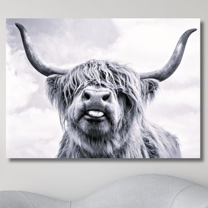 Cow With Tongue Black White Print Highland Farmhouse Decor Cow Canvas Wall Art Rustic Wall Decor Animals Painting Scottish Cow Wall Art Cow