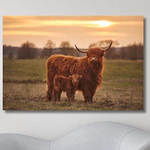 Baby Scottish Highland Cow Canvas Print, Highland Cow Wall Art,Farmhouse Decor,Rustic Wall Decor,Animals Painting,Cow Painting,Ready To Hang