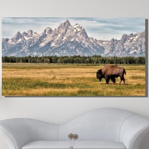 Buffalo Poster Büffel Malerei Büffel Wandkunst Büffel Wandkunst Bison Bison Poster Landschaft Leinwand Cottagecore Dekor fertig zum Aufhängen