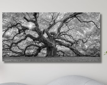 Beautiful Angel Oak Print Canvas Wall Art,Angel Oak Tree Canvas,Landscape Modern Canvas Print Art,Black and White Wall Decors,Ready To Hang