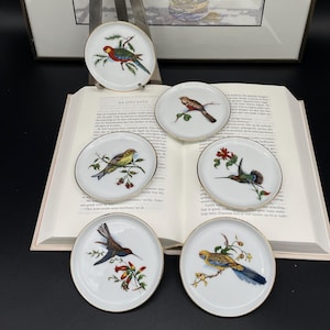 Vintage kleine Teller mit Vögeln, 6er Set, Fürstenberg Royal Porzellan Untersetzer, 6er Set mit Vögeln